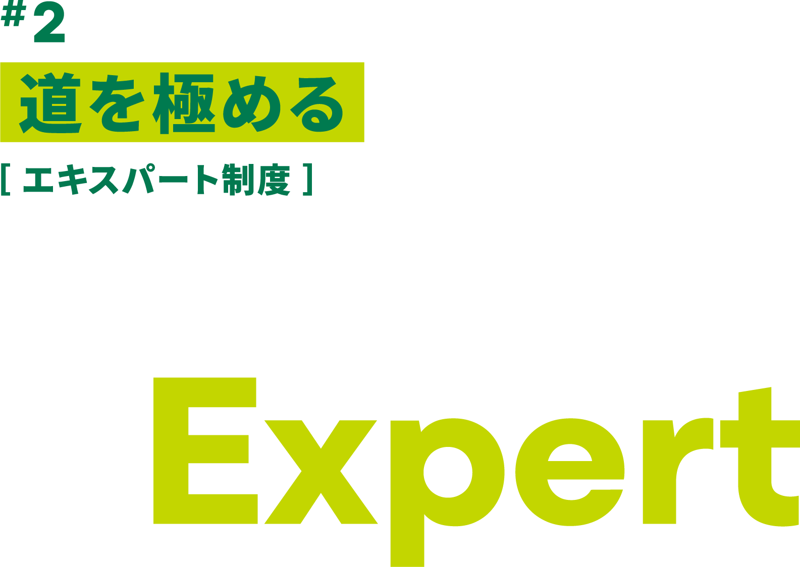 #2 道を極める ［ エキスパート制度 ］ Expert