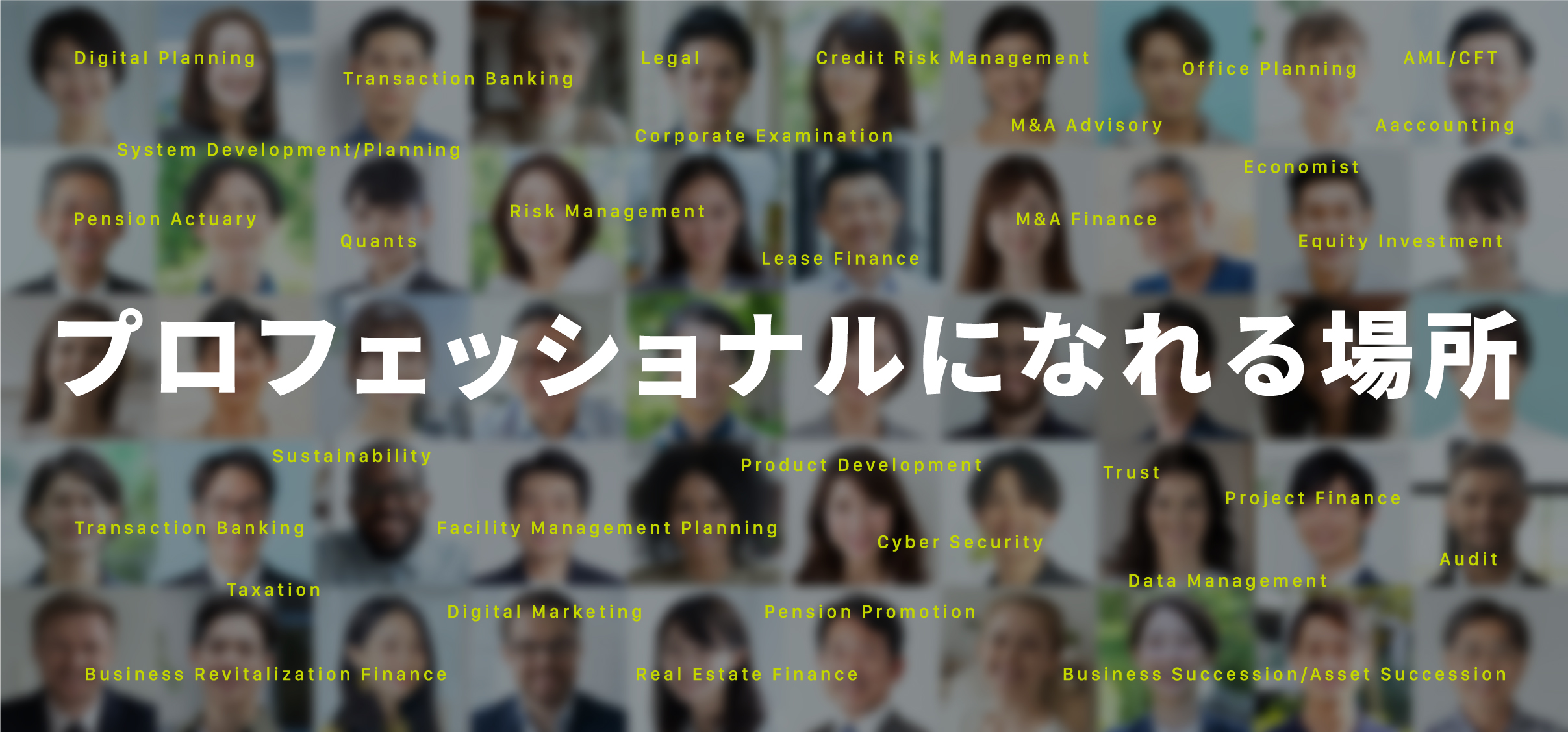 プロッフェショナルになれる場所