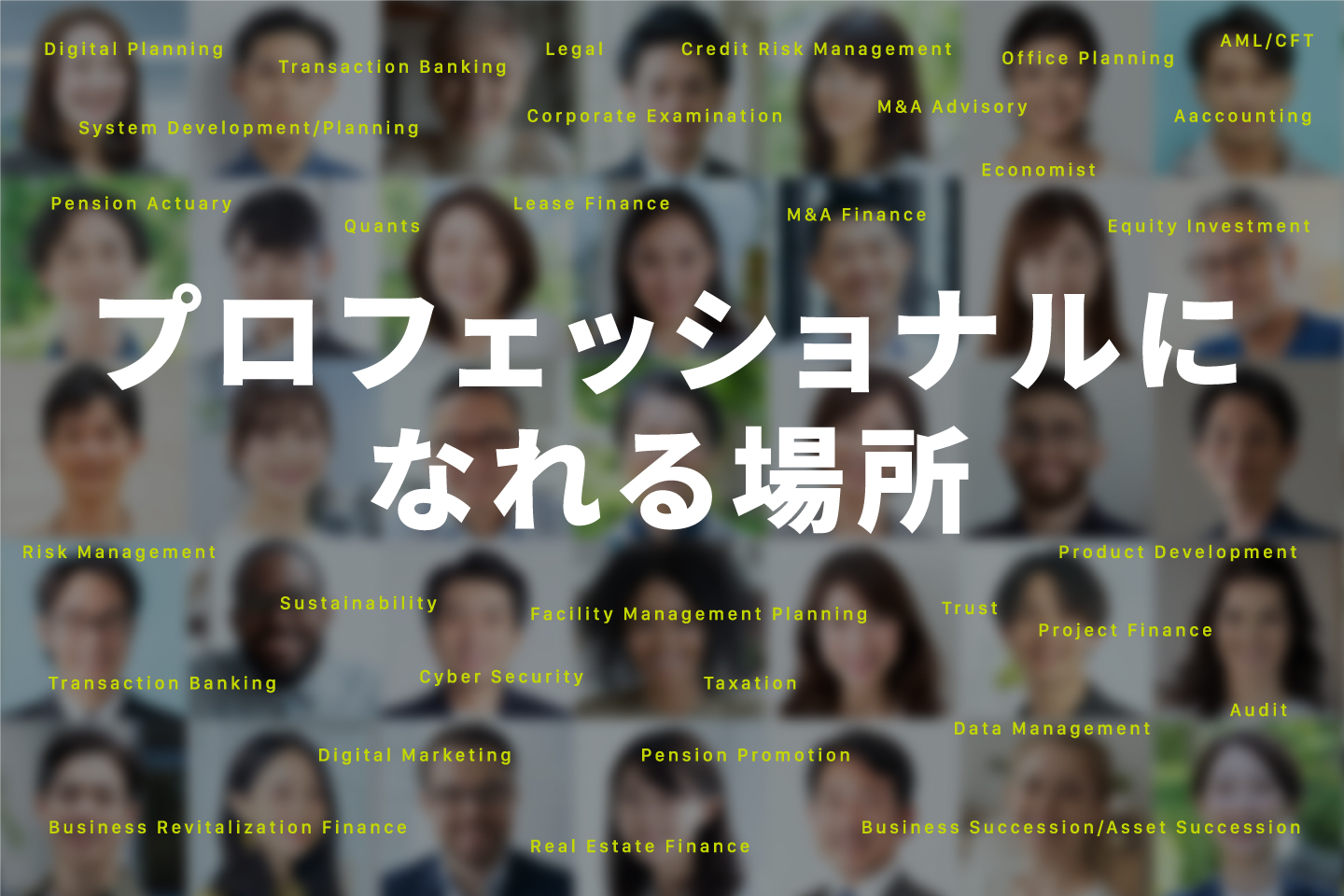 プロッフェショナルになれる場所